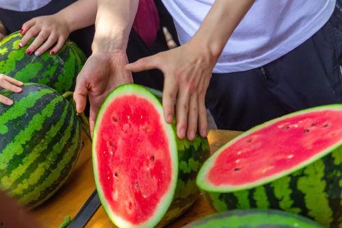 太原免费吃瓜,免费吃瓜活动来袭，清凉一夏尽享美味